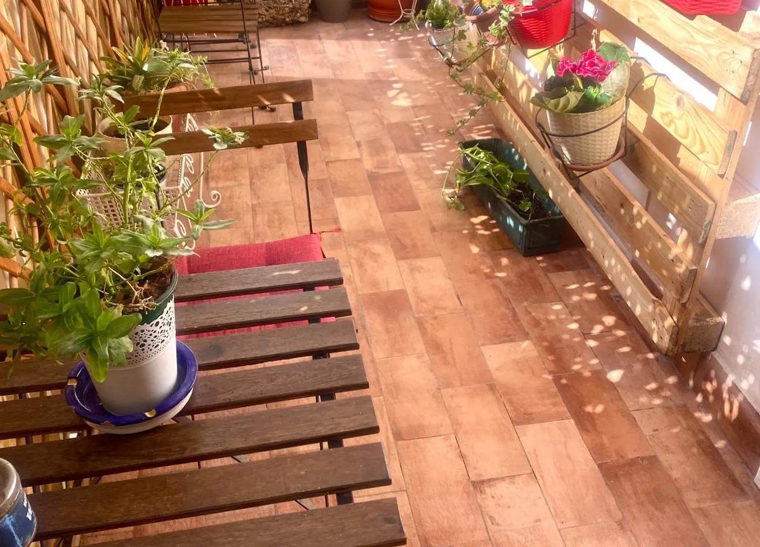 Lealbe Di Sicilia Bed and Breakfast Παλέρμο