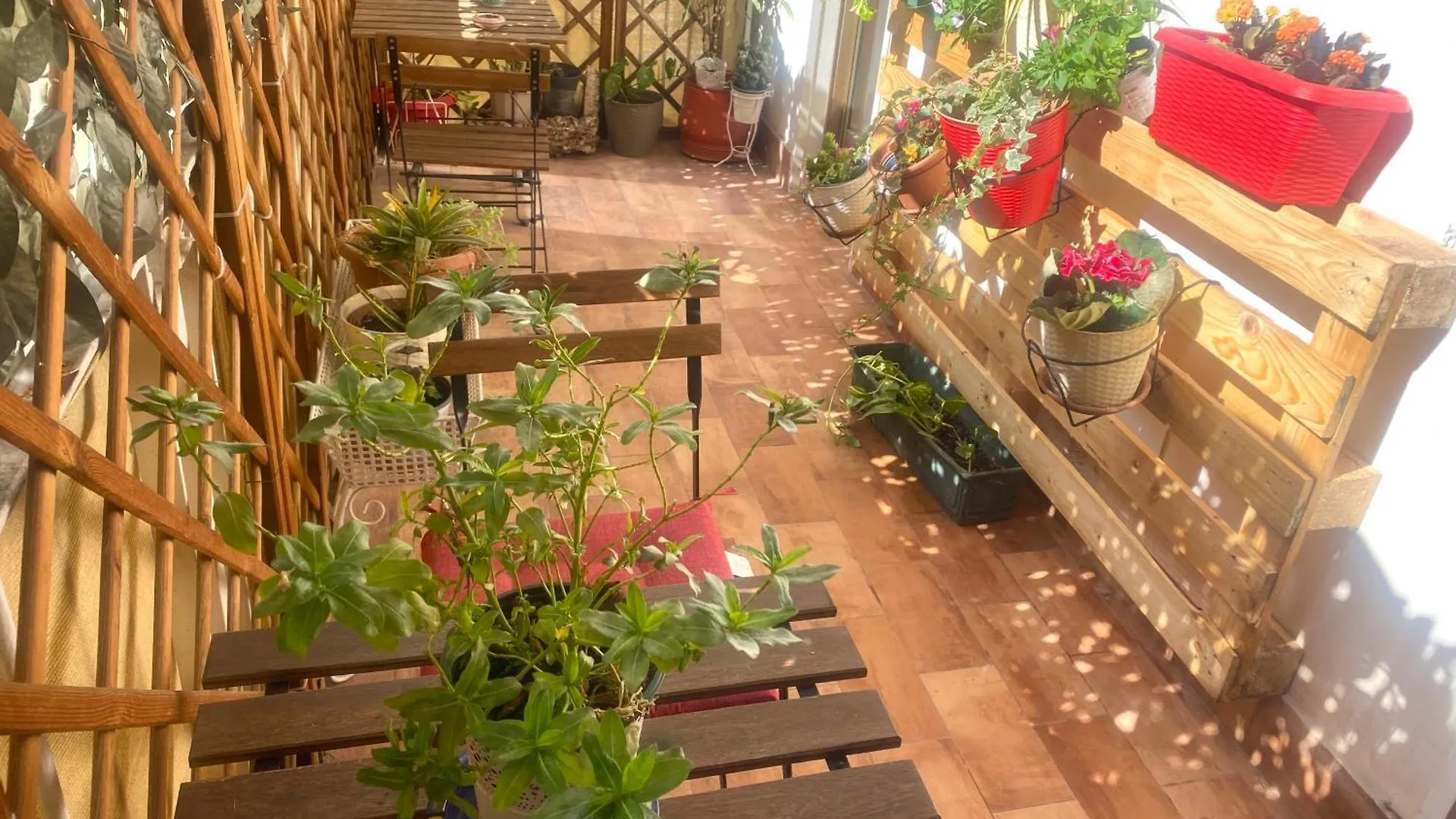Bed and Breakfast Lealbe Di Sicilia à Palerme
