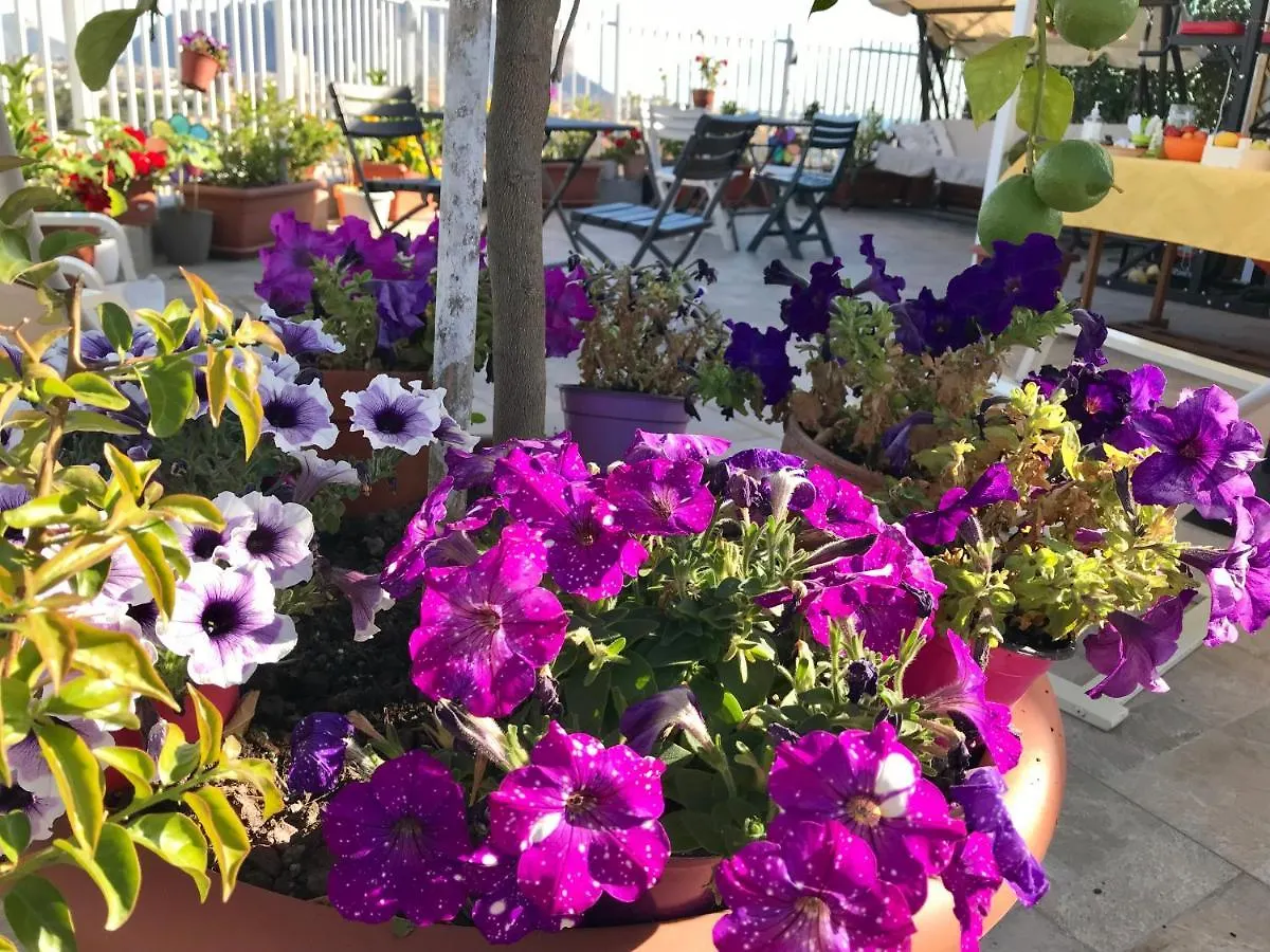 パレルモ Lealbe Di Sicilia Bed & Breakfast 0*,