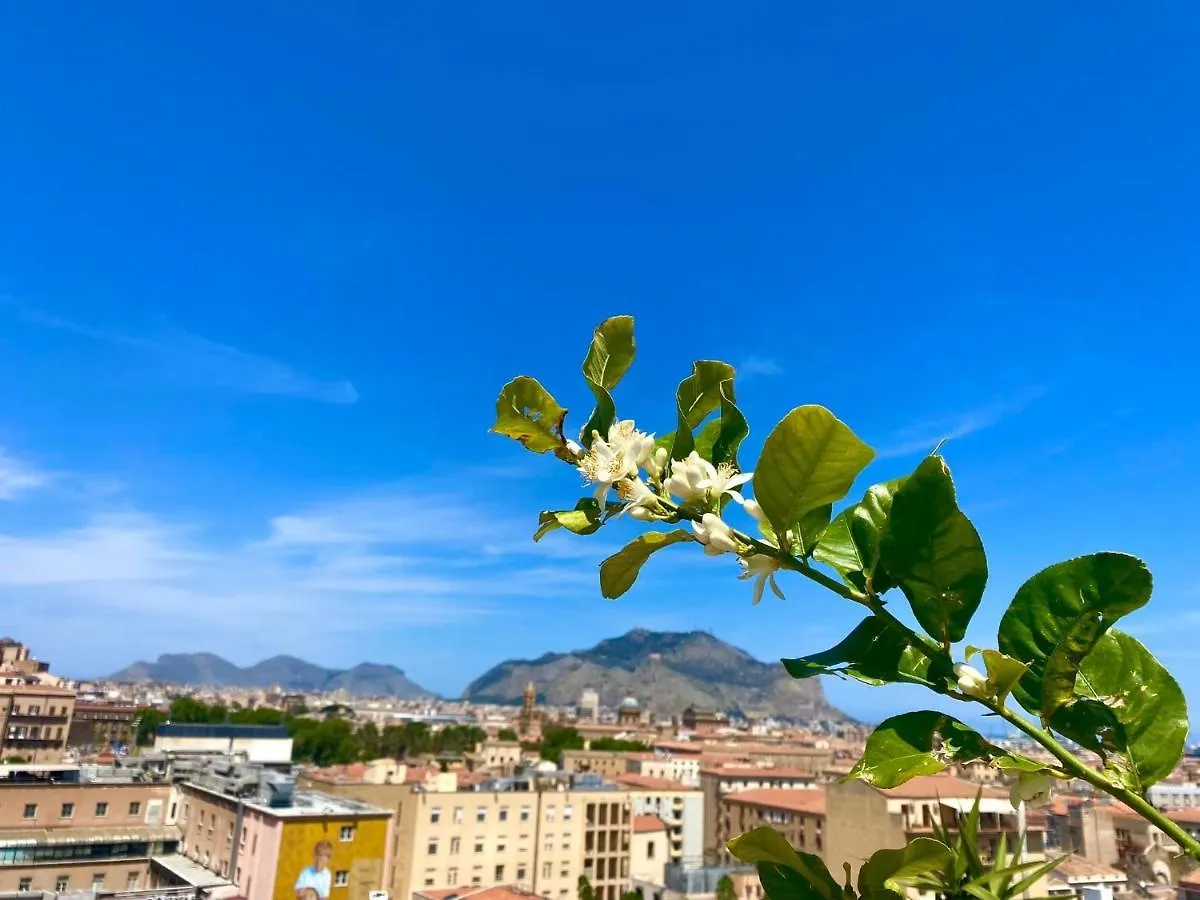 パレルモ Lealbe Di Sicilia Bed & Breakfast